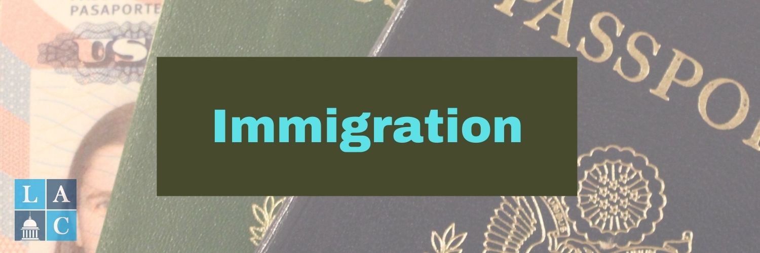 Immigration_limpidlaw.com